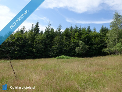 Brenna 253ha inwestycyjna pod pensjonaty domki letniskowe - Brenna  -
śląskie Zdjęcie nr 6