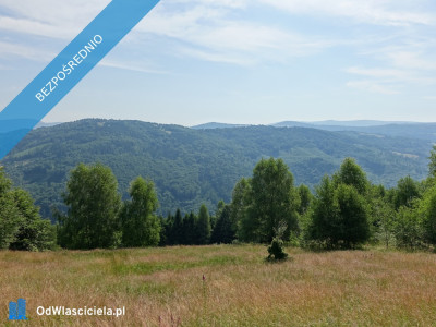 Brenna 253ha inwestycyjna pod pensjonaty domki letniskowe - Brenna  -
śląskie Zdjęcie nr 8