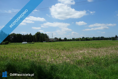 Skoczów Ochaby 157ha z częścią budowlaną 55ar i pod usługi - Skoczów  -
śląskie Zdjęcie nr 3