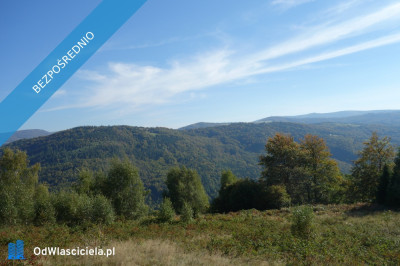 Brenna 253 ha działka inwestycyjna blisko wyciągu - Katowice  - śląskie