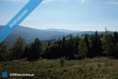 Brenna 253 ha działka inwestycyjna blisko wyciągu - Katowice  -
śląskie Zdjęcie nr 3