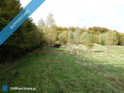 Brenna 253 ha działka inwestycyjna blisko wyciągu - Szczyrk  -
śląskie Zdjęcie nr 5