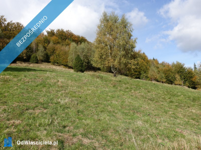 Brenna 253 ha działka inwestycyjna blisko wyciągu - Katowice  -
śląskie Zdjęcie nr 6