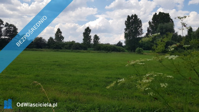 Chcesz dom Masz  z droga wodą i internetem - Dominikowice  -
łódzkie Zdjęcie nr 3