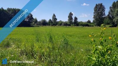 Chcesz dom Masz  z droga wodą i internetem - Dominikowice  -
łódzkie Zdjęcie nr 4