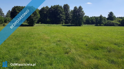 Chcesz dom Masz  z droga wodą i internetem - Dominikowice  -
łódzkie Zdjęcie nr 6