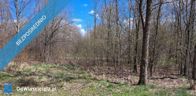 PROMOCJA Dwie działki w cenie jednej Słynny zalew SIELPIA - Przyłogi  - świętokrzyskie