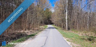 PROMOCJA Dwie działki w cenie jednej Słynny zalew SIELPIA - Przyłogi  -
świętokrzyskie Zdjęcie nr 2