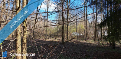 PROMOCJA Dwie działki w cenie jednej Słynny zalew SIELPIA - Przyłogi  -
świętokrzyskie Zdjęcie nr 5