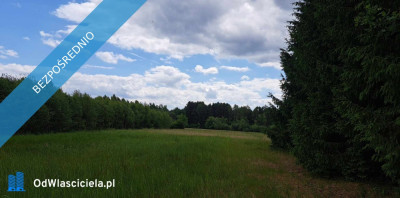 Sprzedam siedlisko 4000 m2 Cisza i spokój dojazd z Warszawy trasą S7  Cisza i spokój dojazd z Warszawy trasą S7  - Luta  -
świętokrzyskie Zdjęcie nr 10