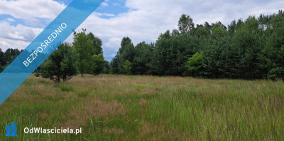 Sprzedam siedlisko 4000 m2 Cisza i spokój dojazd z Warszawy trasą S7  Cisza i spokój dojazd z Warszawy trasą S7  - Luta  -
świętokrzyskie Zdjęcie nr 14