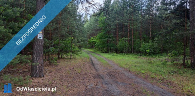 Sprzedam siedlisko 4000 m2 Cisza i spokój dojazd z Warszawy trasą S7  Cisza i spokój dojazd z Warszawy trasą S7  - Luta  -
świętokrzyskie Zdjęcie nr 19