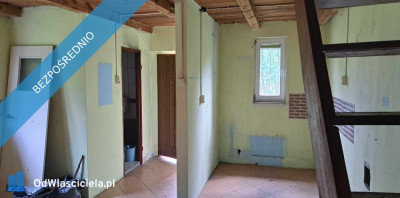 Sprzedam siedlisko 4000 m2 - Luta  - świętokrzyskie