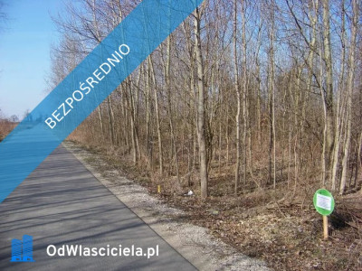 Sprzedam działkę - Żarnów  - łódzkie