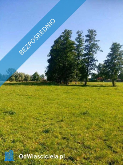 Działka Siedliskowa na sprzedaż  Rażny  - Rażny  -
mazowieckie Zdjęcie nr 3