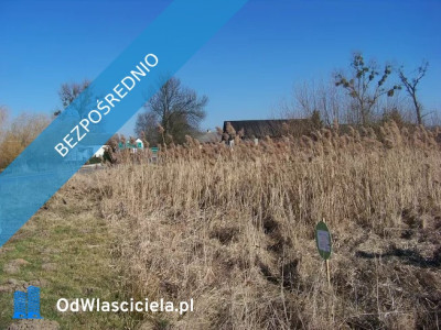 Sprzedam działkę - Grębenice  -
łódzkie Zdjęcie nr 2