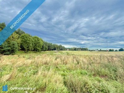 Duża działka 6000 m w Demlinie  spokój natura i szybki dojazd do miasta - Demlin  -
pomorskie Zdjęcie nr 2