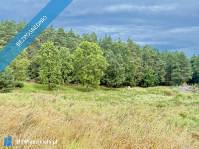 Duża działka 6000 m w Demlinie  spokój natura i szybki dojazd do miasta - Demlin  -
pomorskie Zdjęcie nr 3