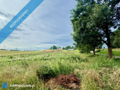 Duża działka 6000 m w Demlinie  spokój natura i szybki dojazd do miasta - Demlin  -
pomorskie Zdjęcie nr 5