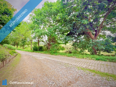 Duża działka 6000 m w Demlinie  spokój natura i szybki dojazd do miasta - Demlin  -
pomorskie Zdjęcie nr 8