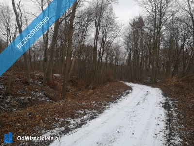 Działka 4265 w Pręgowie Górnym - Pręgowo  -
pomorskie Zdjęcie nr 5