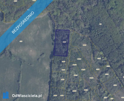 Działka 4267 w Pręgowie Górnym - Pręgowo  -
pomorskie Zdjęcie nr 3