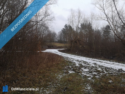 Działka 4267 w Pręgowie Górnym - Pręgowo  -
pomorskie Zdjęcie nr 6