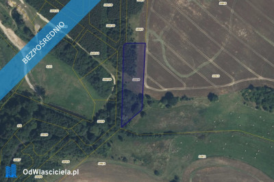 Działka 1034 w Cieszynie - Cieszyn  -
zachodniopomorskie Zdjęcie nr 2