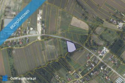 Działka 941 w miejscowości Trąbki - Trąbki  - małopolskie