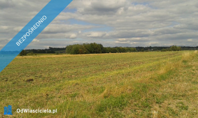  działka 68 ar Śmigno Pawęzów - Pawęzów  -
małopolskie Zdjęcie nr 5