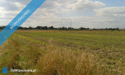  działka 68 ar Śmigno Pawęzów - Pawęzów  -
małopolskie Zdjęcie nr 6