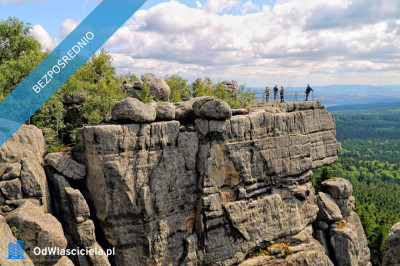Sprzedam działkę obok Polanicy-Zdroju-SUDETY-GORY STOLOWE - Niwa  - dolnośląskie