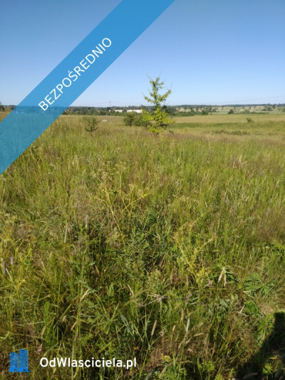 blisko do miasta  i do lasu - Jesionowo  -
warmińsko-mazurskie Zdjęcie nr 2