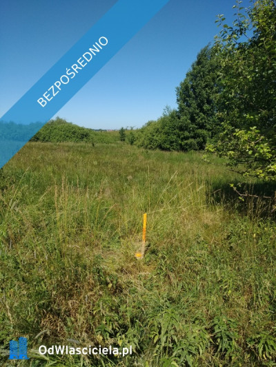 blisko do miasta  i do lasu - Jesionowo  -
warmińsko-mazurskie Zdjęcie nr 4