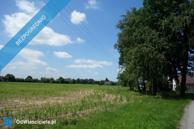 Skoczów Ochaby 32ha z częścią budowlaną i pod usługi - Katowice  -
śląskie Zdjęcie nr 5