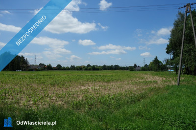 Skoczów Ochaby 157ha z częścią budowlaną oraz pod usługi - Katowice  -
śląskie Zdjęcie nr 2