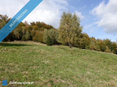 Brenna 253 ha działka inwestycyjna blisko wyciągu - Szczyrk  -
śląskie Zdjęcie nr 9
