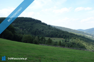 Brenna 253 ha działka inwestycyjna blisko wyciągu - Wisła  -
śląskie Zdjęcie nr 2