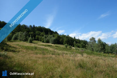 Brenna 253 ha działka inwestycyjna blisko wyciągu - Ustroń  -
śląskie Zdjęcie nr 3