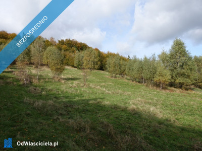 Brenna 253 ha działka inwestycyjna blisko wyciągu - Katowice  -
śląskie Zdjęcie nr 2