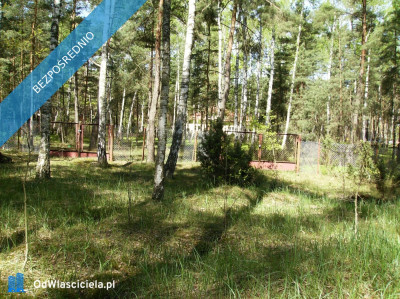 Ruda koło Radzymina działka BEZPOŚREDNIO  - Ruda  -
mazowieckie Zdjęcie nr 6