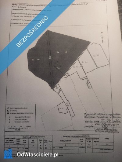 Na sprzedaż las  Borkowo Kościelne Sierpc - Borkowo Kościelne  - mazowieckie