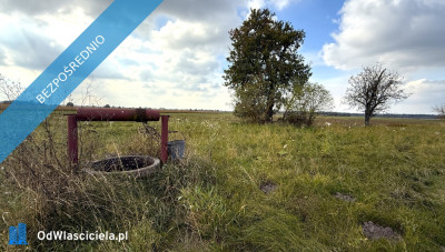 Dom Działki Sosnówka Rozwadówka gm Sosnówka - Sosnówka  -
lubelskie Zdjęcie nr 17