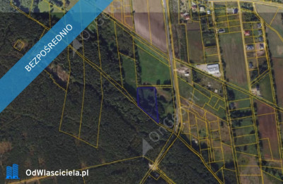 Działka 2381 w Wielka Nieszawka - Wielka Nieszawka  -
kujawsko-pomorskie Zdjęcie nr 2