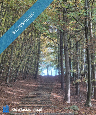 Działki budowlane z WZ na domy jednorodzinne - Robuń  -
zachodniopomorskie Zdjęcie nr 14