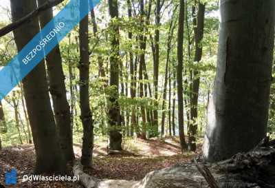 Działka budowlana z WZ dla budynku wielorodzinnego - Wartkowo  -
zachodniopomorskie Zdjęcie nr 13