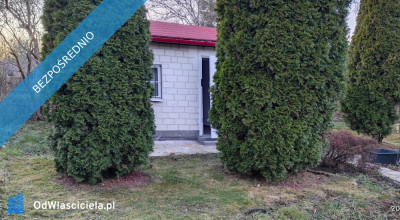 Działka rekreacyjna ROD - Ząbki  -
mazowieckie Zdjęcie nr 6