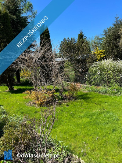 Działka rekreacyjna ROD - Ząbki  -
mazowieckie Zdjęcie nr 8