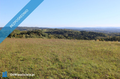 Działka budowlana przy drodze z widokiem na Bieszczady - Domaradz  -
podkarpackie Zdjęcie nr 6
