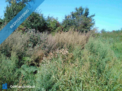 Sprzedam działkę z dobrym dostępem do drogi asfaltowej - Nowy Dwór Gdański  -
pomorskie Zdjęcie nr 2